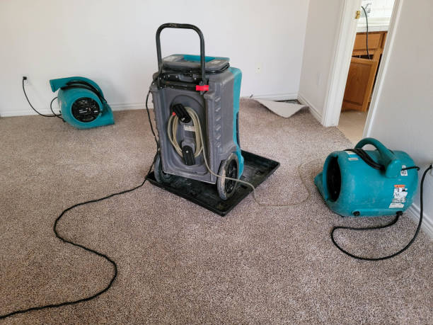 Best Ceiling water damage repair  in Flanders, NJ