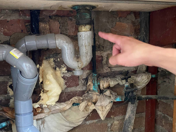 Best Mold removal after water damage  in Flanders, NJ