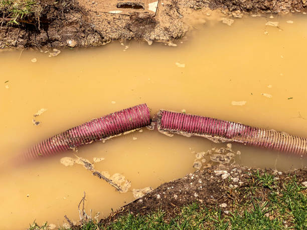 Best Sewage cleanup and water damage restoration  in Flanders, NJ